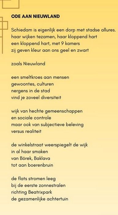 Ode aan Nieuwland 1.jpg